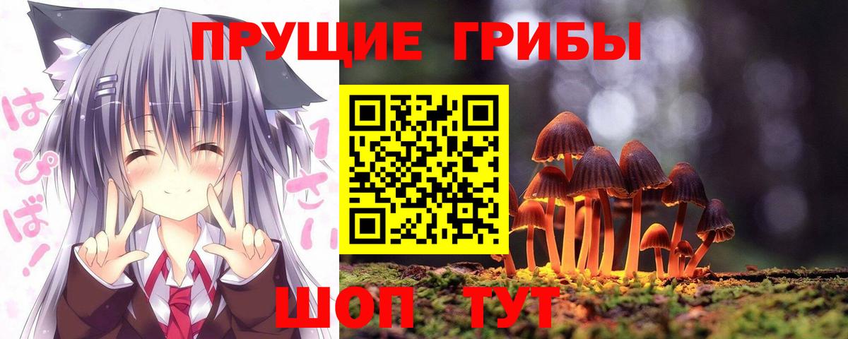 где найти   Вход с VPN  Электрогорск  Галлюциногенные грибы мухоморы 