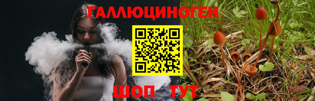 Галлюциногенные грибы MAGIC MUSHROOMS Электрогорск
